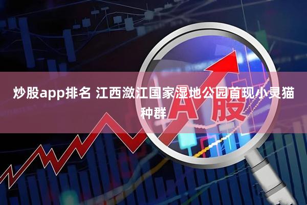 炒股app排名 江西潋江国家湿地公园首现小灵猫种群