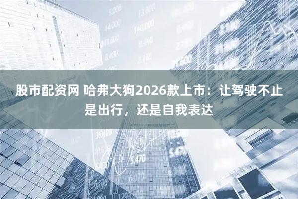 股市配资网 哈弗大狗2026款上市：让驾驶不止是出行，还是自我表达